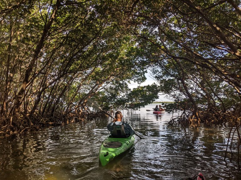 PXL_20220527_134156438