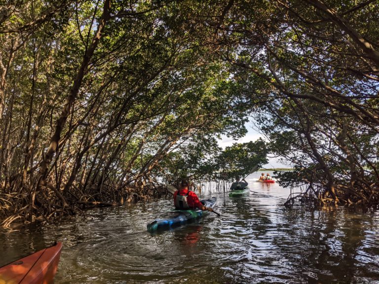 PXL_20220527_134206462