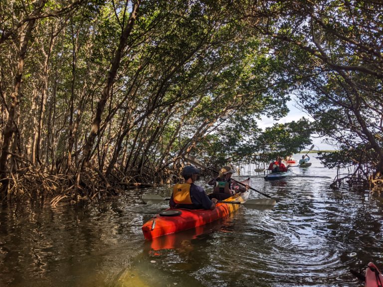 PXL_20220527_134213655