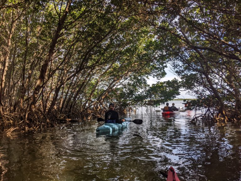 PXL_20220527_134226151