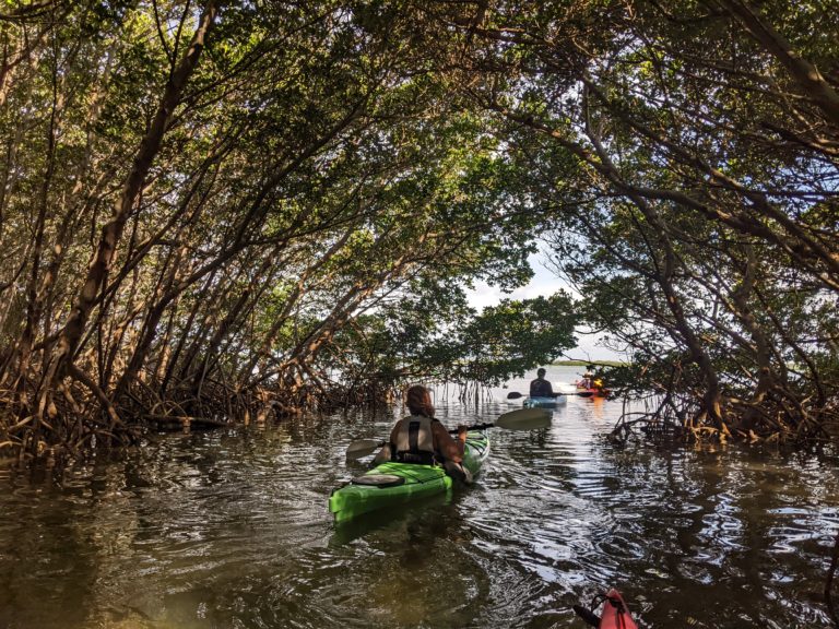 PXL_20220527_134238476