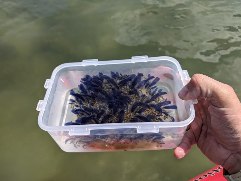 PXL_20220527_144713258