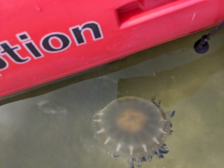 PXL_20220527_144726228