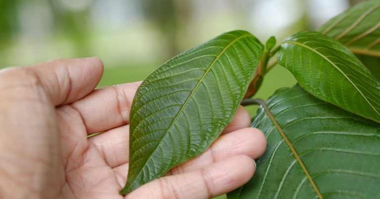 Kratom for Anxiety or Pain: When Relief Starts Working Against You