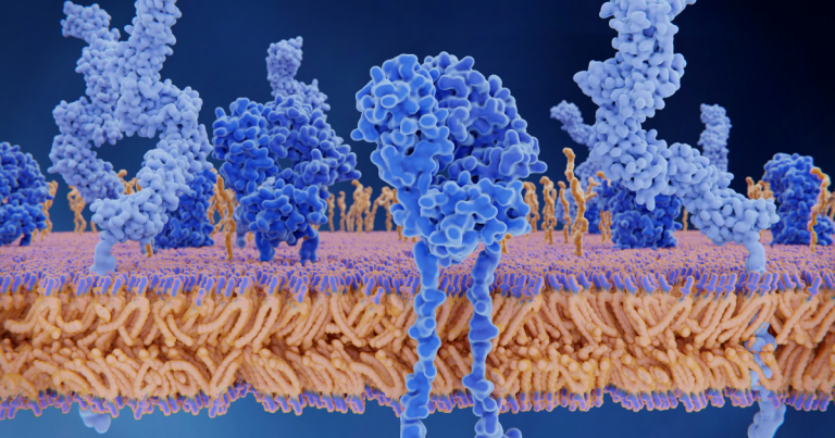 Suboxone Tapering: Timing, Risks, and Support